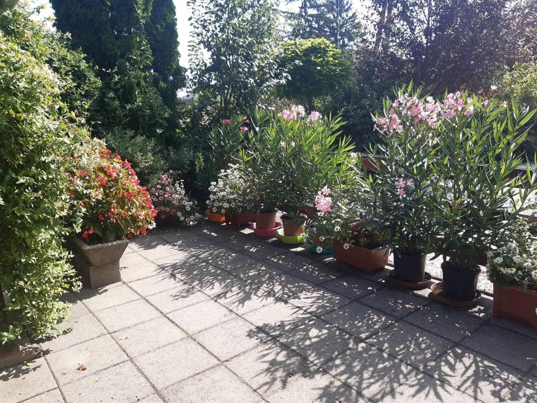 Gyoengyvirag Apartment Romhány Dış mekan fotoğraf